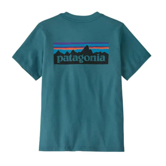 Teal Patagonia t-shirt with logo on the back against a white background