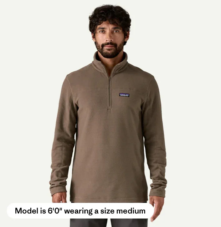 Patagonia Men's Micro D® Fleece Pullover