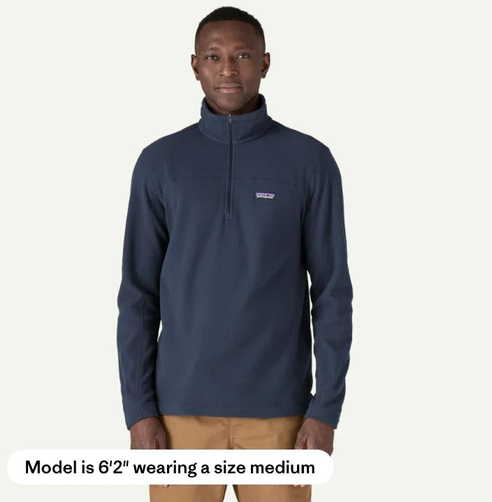 Patagonia Men's Micro D® Fleece Pullover