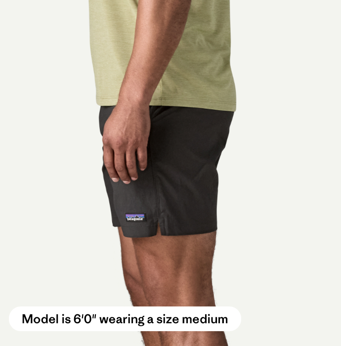 Patagonia Men's Baggies Lights 6"