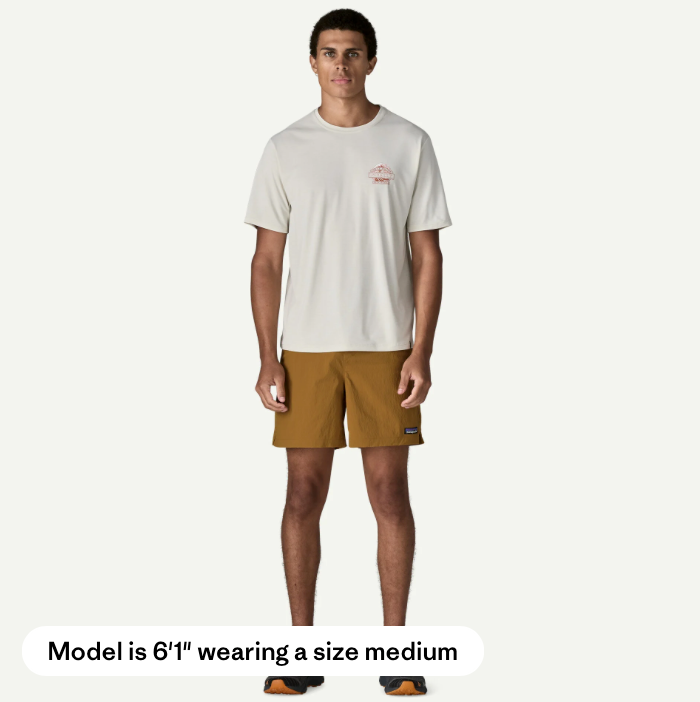 Patagonia Men's Baggies Lights 6"