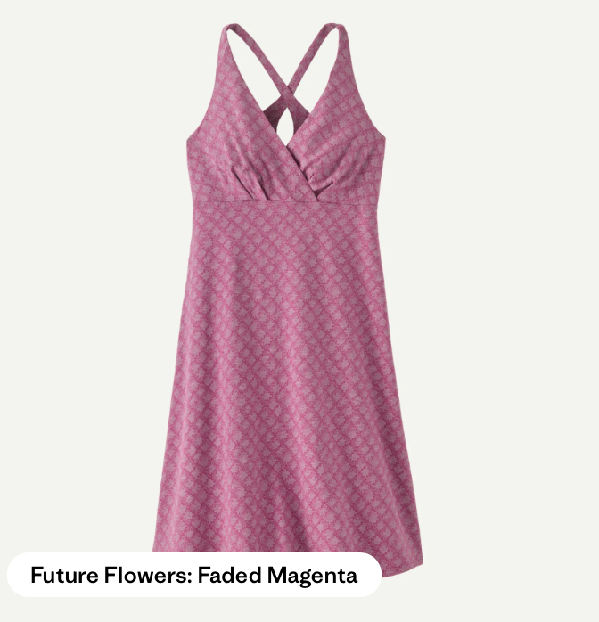 Patagonia Women's Amber Dawn Dress