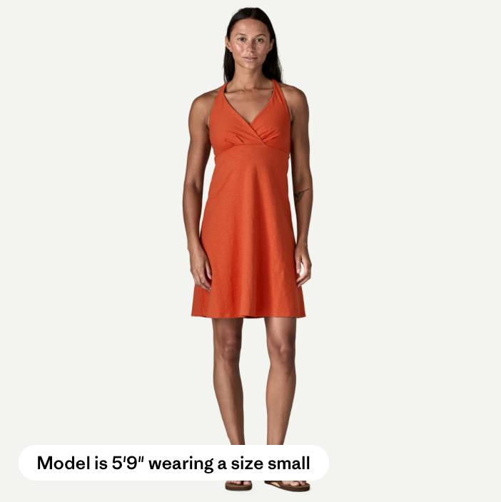 Patagonia Women's Amber Dawn Dress