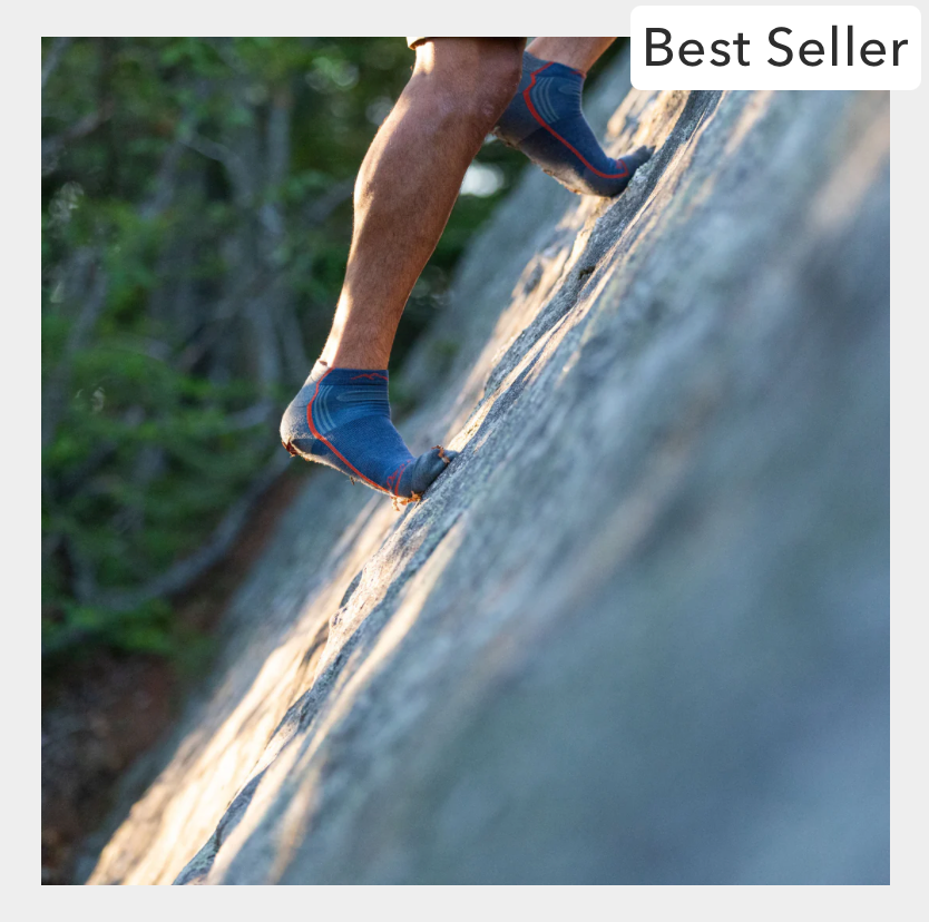 Darn Tough Men's Light Hiker No Show Lightweight Hiking Socks