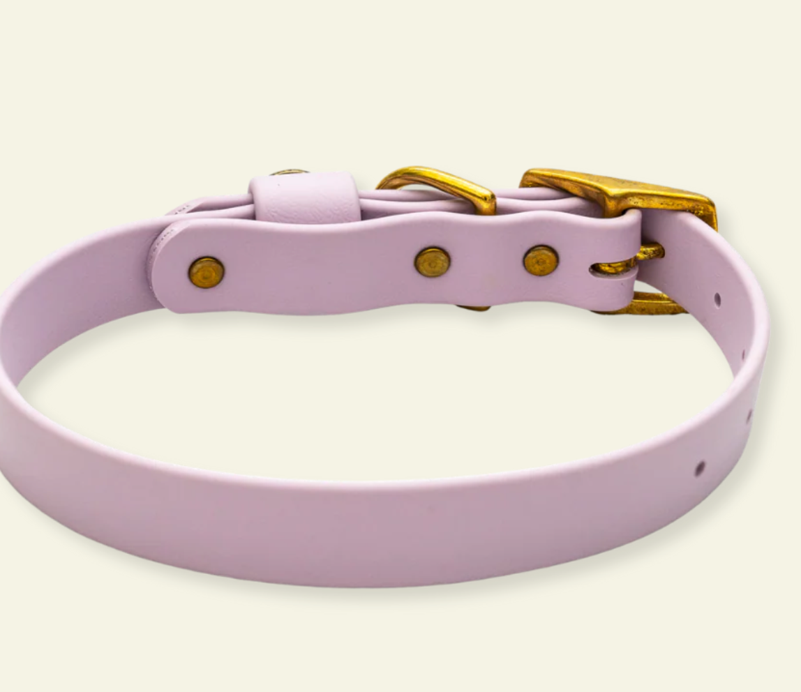 Over Under Water Dog Collar