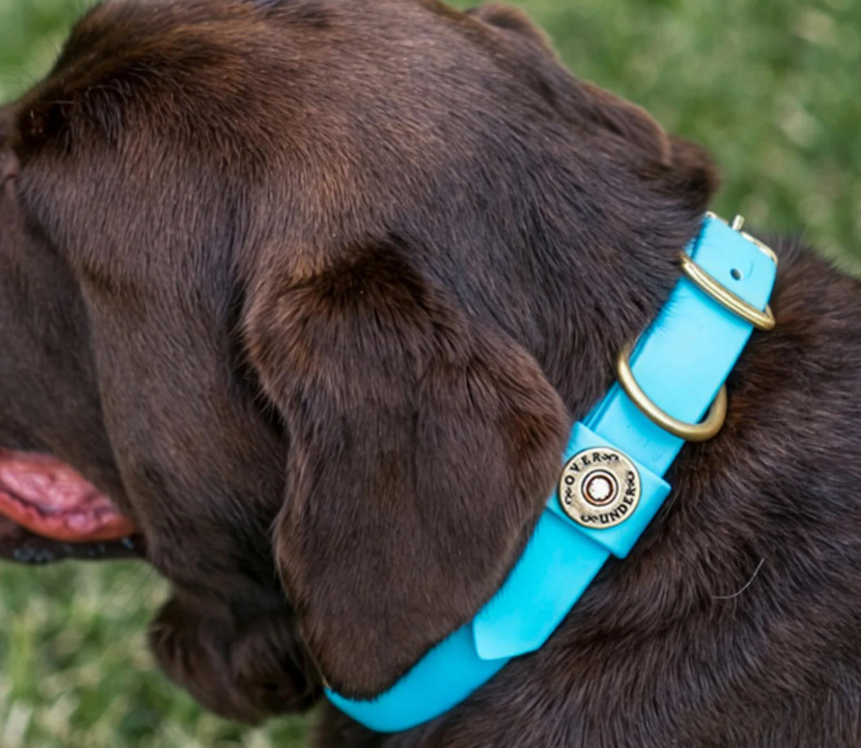 Over Under Water Dog Collar
