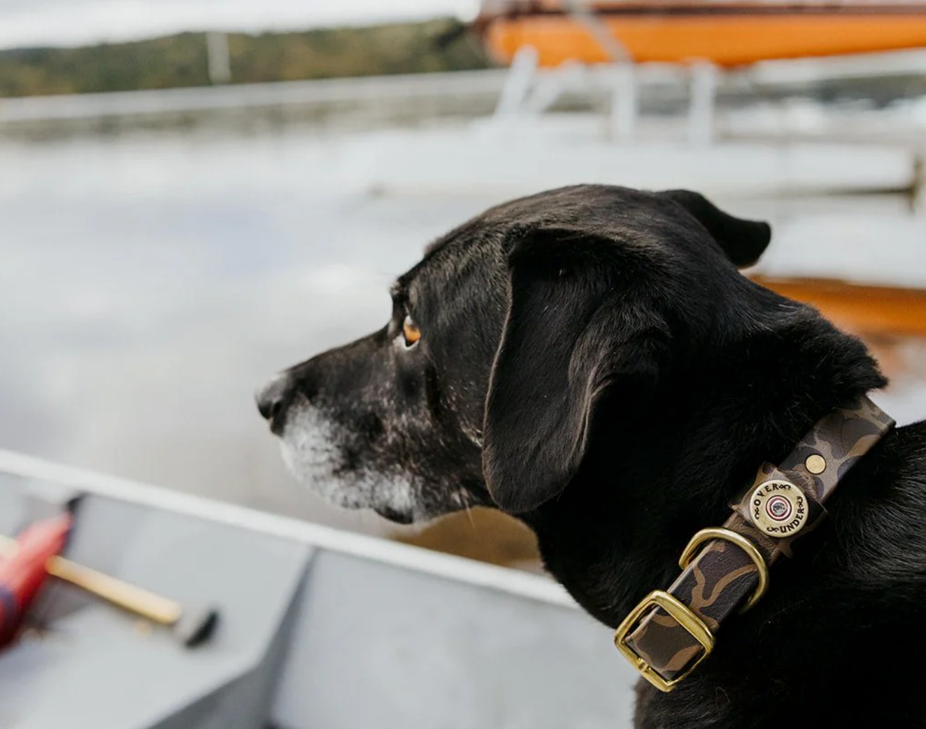 Over Under Water Dog Collar