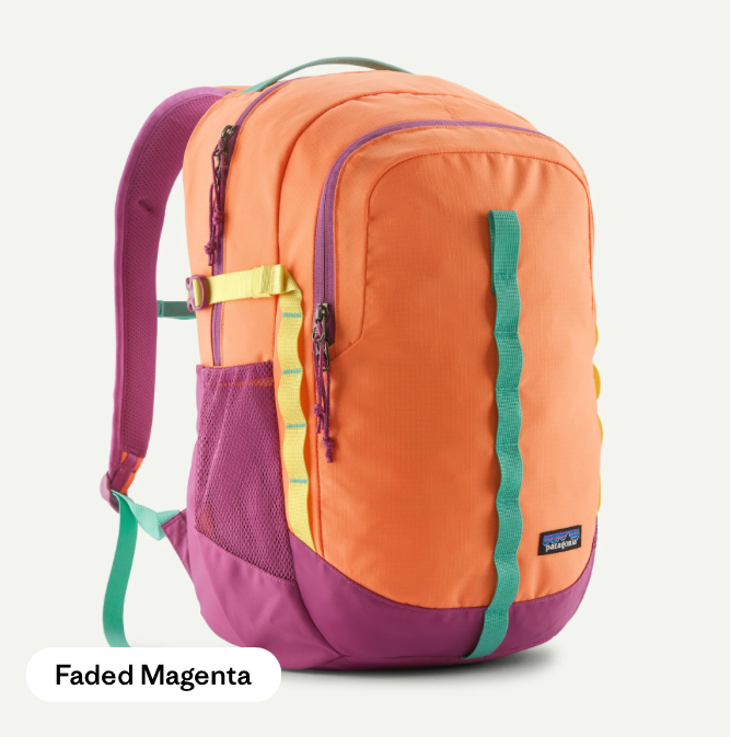 Patagonia Refugio Daypack 26L