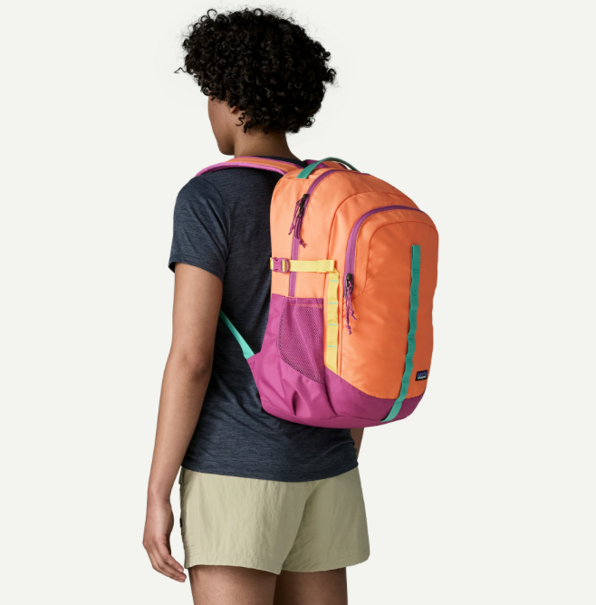 Patagonia Refugio Daypack 26L