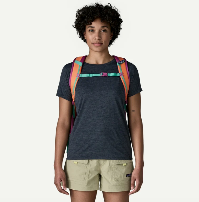 Patagonia Refugio Daypack 26L