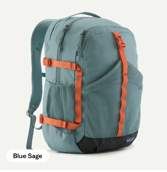 Patagonia Refugio Daypack 30L