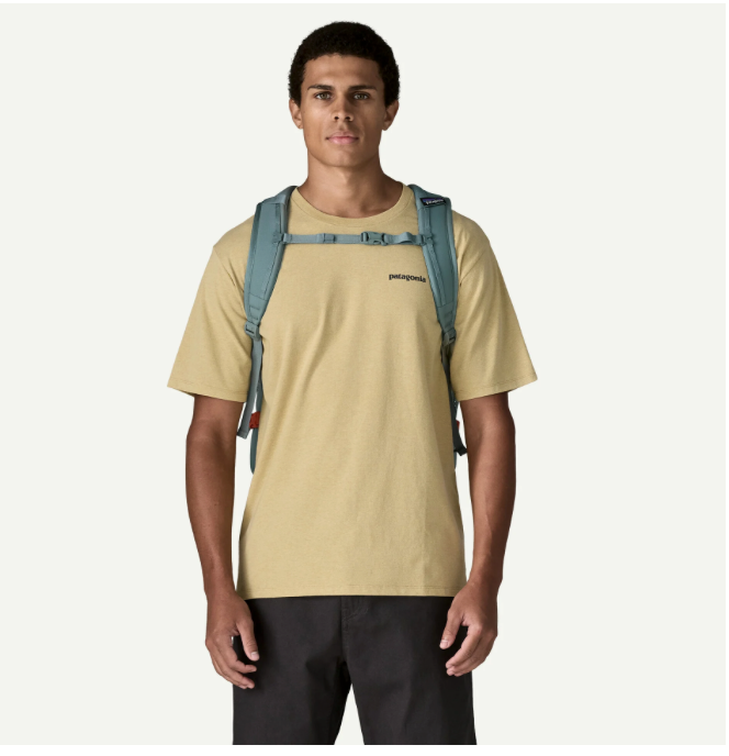 Patagonia Refugio Daypack 30L