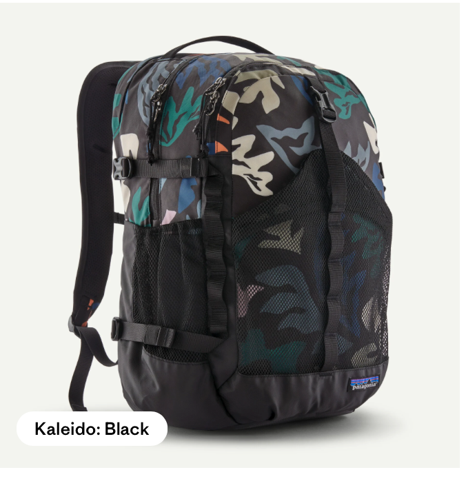 Patagonia Refugio Daypack 30L