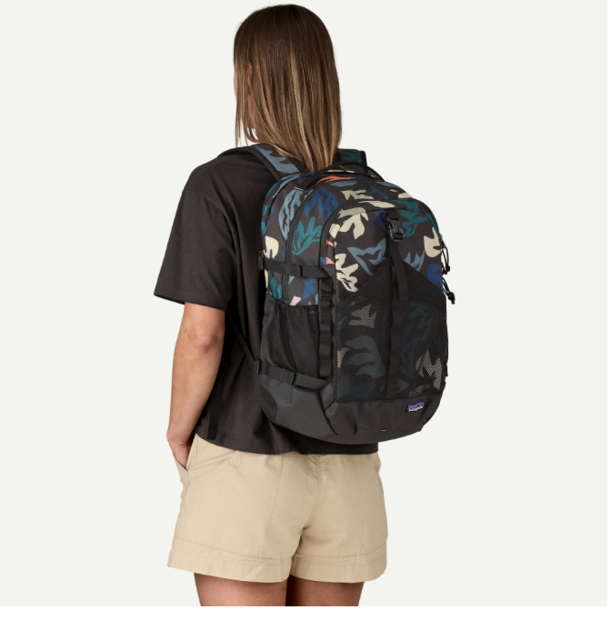 Patagonia Refugio Daypack 30L