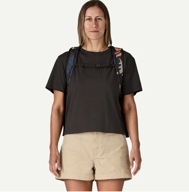 Patagonia Refugio Daypack 30L