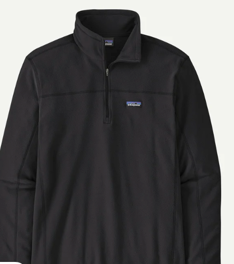 Patagonia Men's Micro D® Fleece Pullover