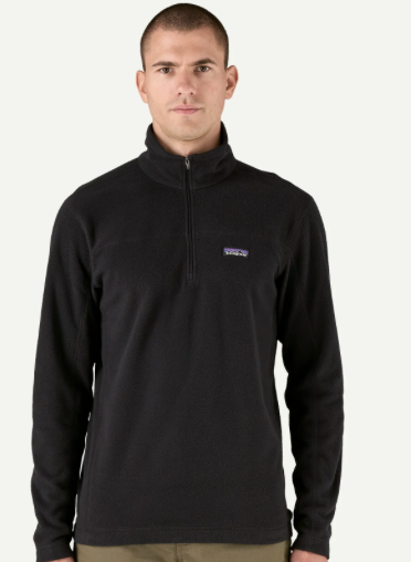 Patagonia Men's Micro D® Fleece Pullover