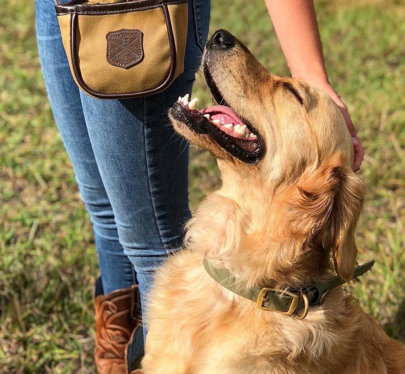 Over Under Water Dog Collar